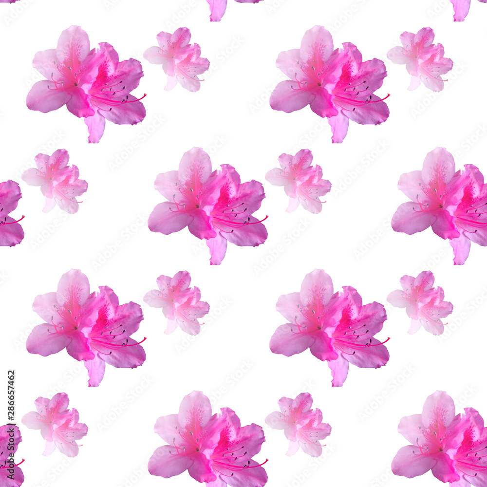abstract background with flowers pink azalea