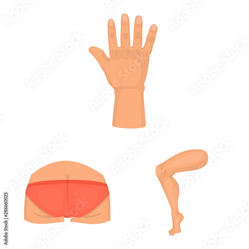 Vector illustration of body and part logo. Collection of body and anatomy vector icon for stock.