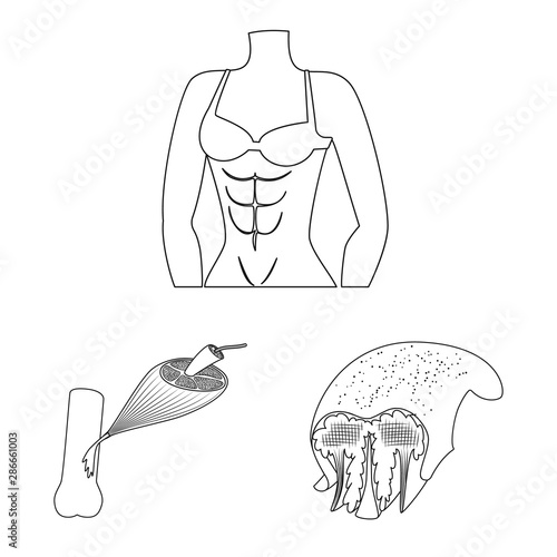 Vector design of fiber and muscular logo. Set of fiber and body vector icon for stock.