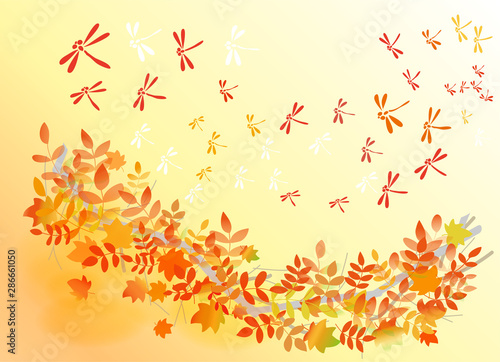 紅葉　赤とんぼ