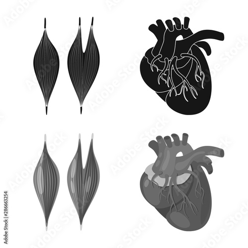 Vector illustration of biology and scientific icon. Set of biology and laboratory stock vector illustration.