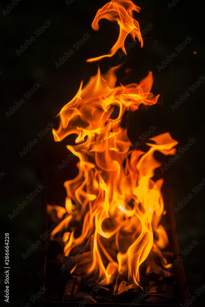 Bright bonfire. The breeding of fire. Tongues of flame. Beautiful background with bonfire and fire.