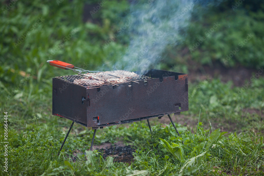 B-B-Q. Grilling meat on coals. Bonfire meat B-B-Q. Grilling meat on coals. Bonfire meat