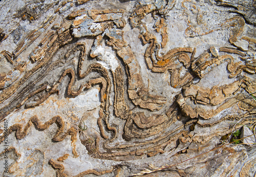 Deformed, curved layers in rock photo