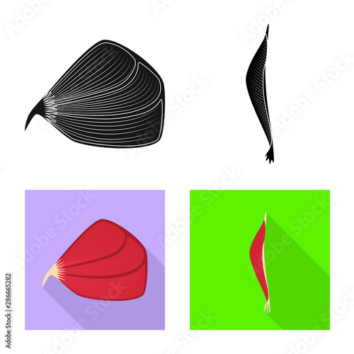 Vector design of fiber and muscular logo. Collection of fiber and body vector icon for stock.
