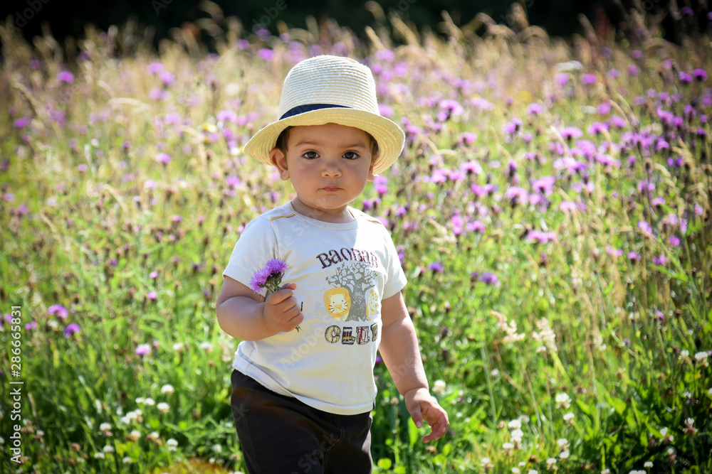 Jeune garçon cueillant une fleur dans un champs