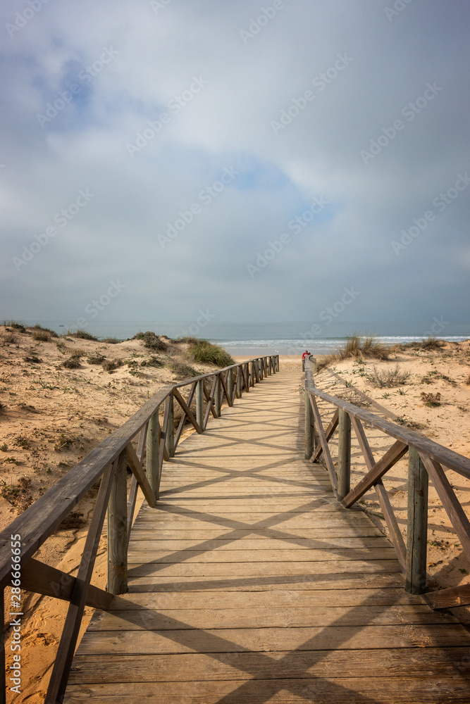 Wooden walkway to the sea between the dunes