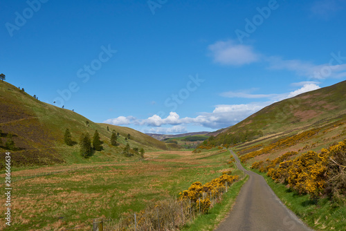 The Single track road through the Quharity Valley in the remote Angus Glens of Scotland on a fine morning in May. Scotland.