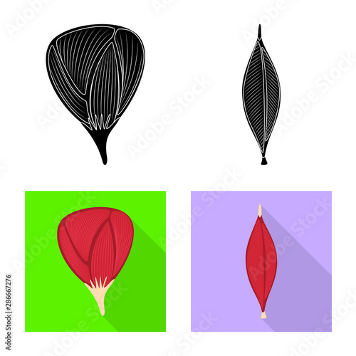 Isolated object of fiber and muscular logo. Collection of fiber and body vector icon for stock.