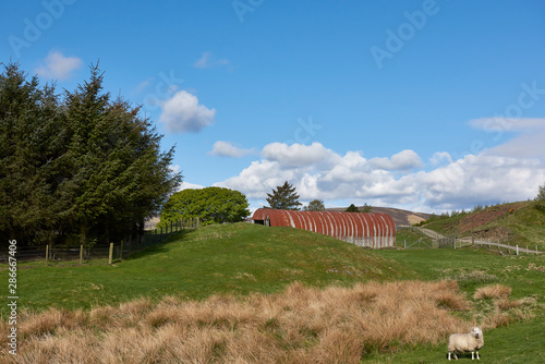 A rusty galvanised tin Farm building high up in the Angus Glens of Scotland, on a fine Morning in May. Glen Prosen, Scotland. photo