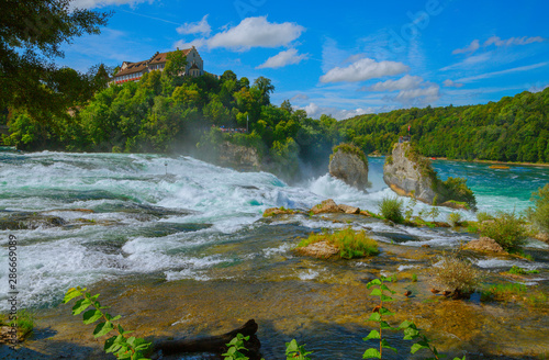 At the Rhine Falls in Switzerland. - There are much bigger waterfalls, but this "small" waterfall has something fascinating for many visitors because of the castle above and the forest around it.