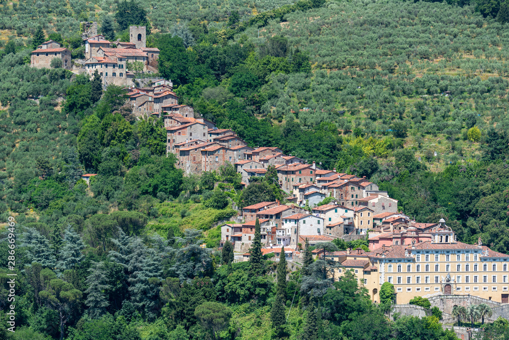 Hills near Collodi, Lucca