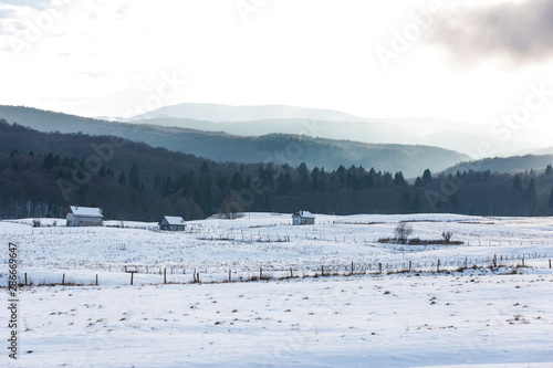 The plateau of Cansiglio