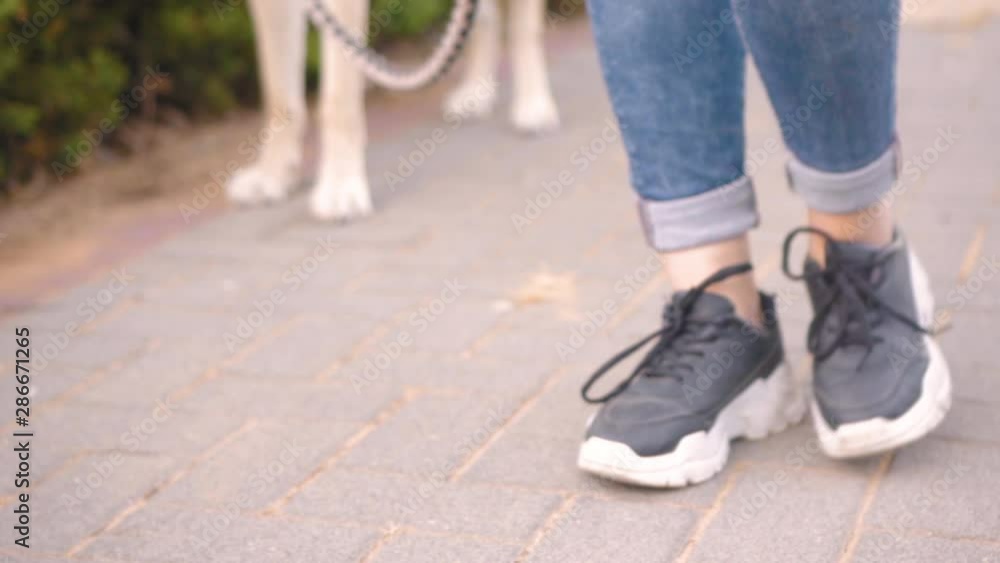 Girl walking in the park with a dog - legs close up Girl walking in the park with a dog - legs close up