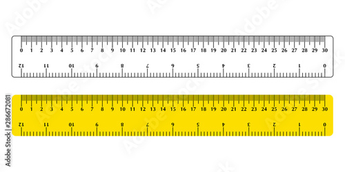 Vector illustration set of two rulers