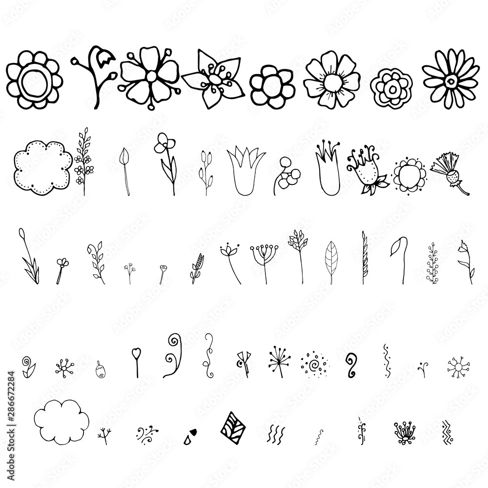 Obraz premium Hand drawn vector flowers, floral doodle, abstract elements, minimalism art, vector image