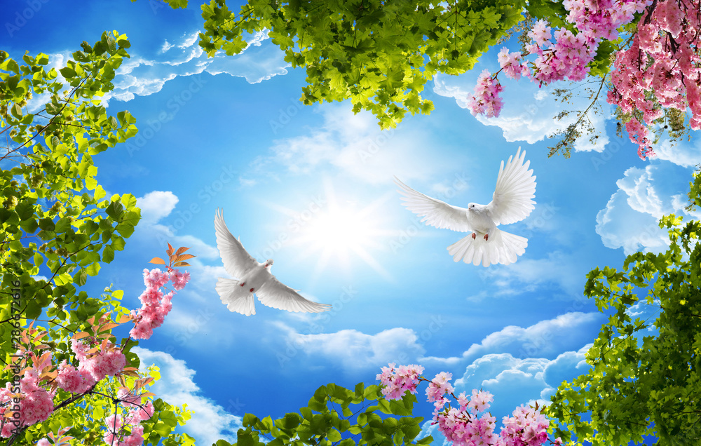 3d sky and bird wallpaper background Stock Photo | Adobe Stock