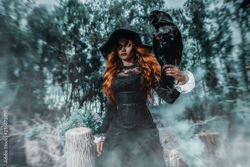 raven and witch