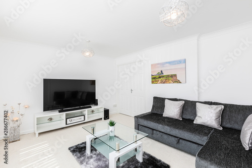 Modern living room