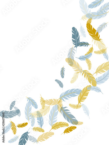 Flying feather elements airy vector design.