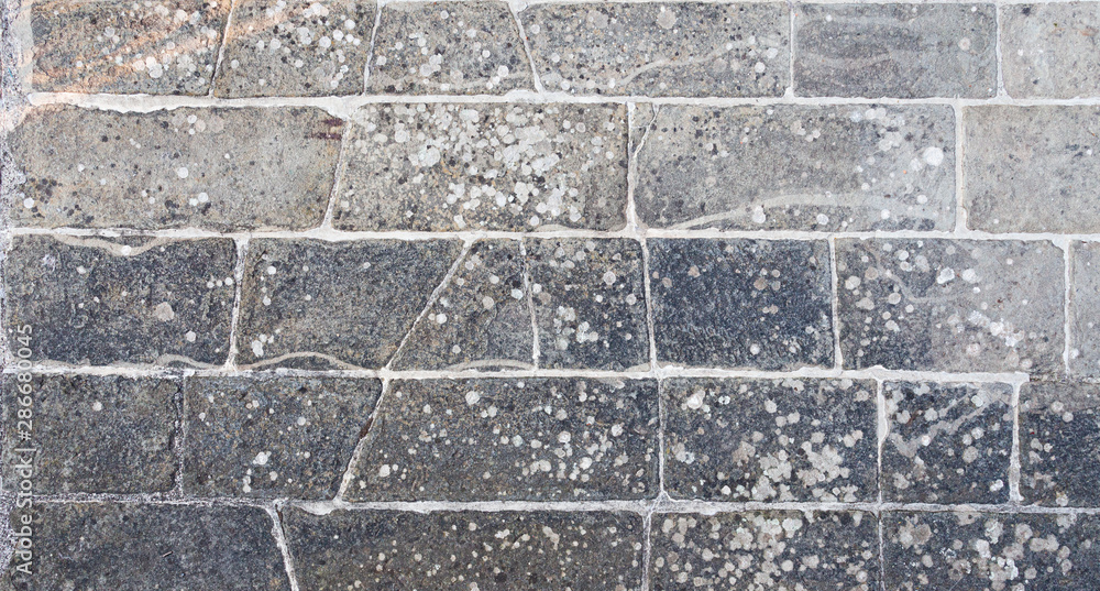 Obraz premium Rustic Stone floor texture, stained, Background for design and composing