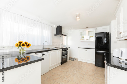 Modern kitchen interior