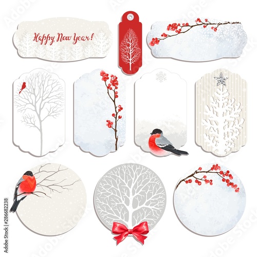 Photo Christmas set of labels and cards with winter red berries, trees and bullfinches