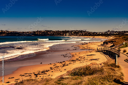 фотографія dee why beach