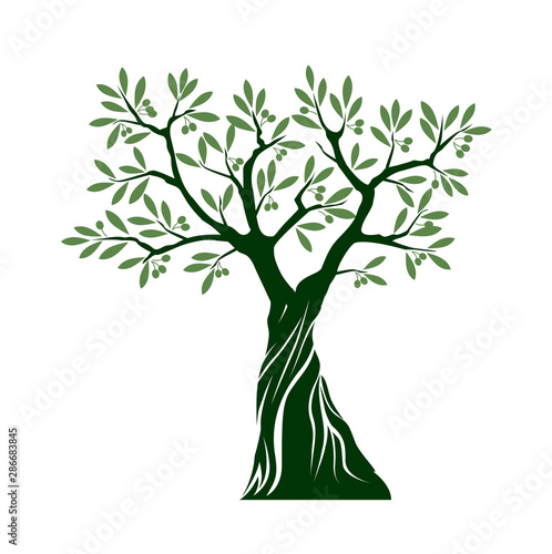 Olive tree on white background. Vector Illustration and concept pictogram.