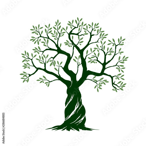 Olive tree on white background. Vector Illustration and concept pictogram.