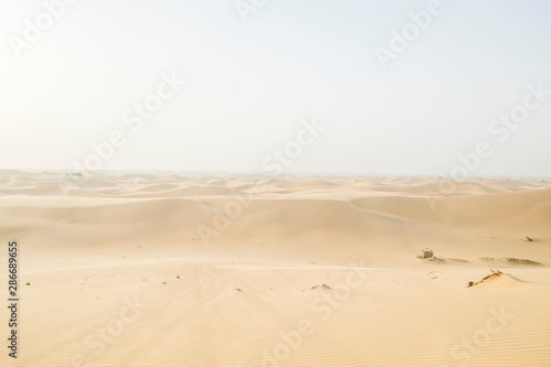 Abu Dhabi desert landscape at golden hour