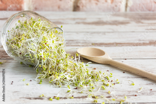 Mix of various sprouts on wooden background. Sprouted seeds. Healthy eating concept. photo