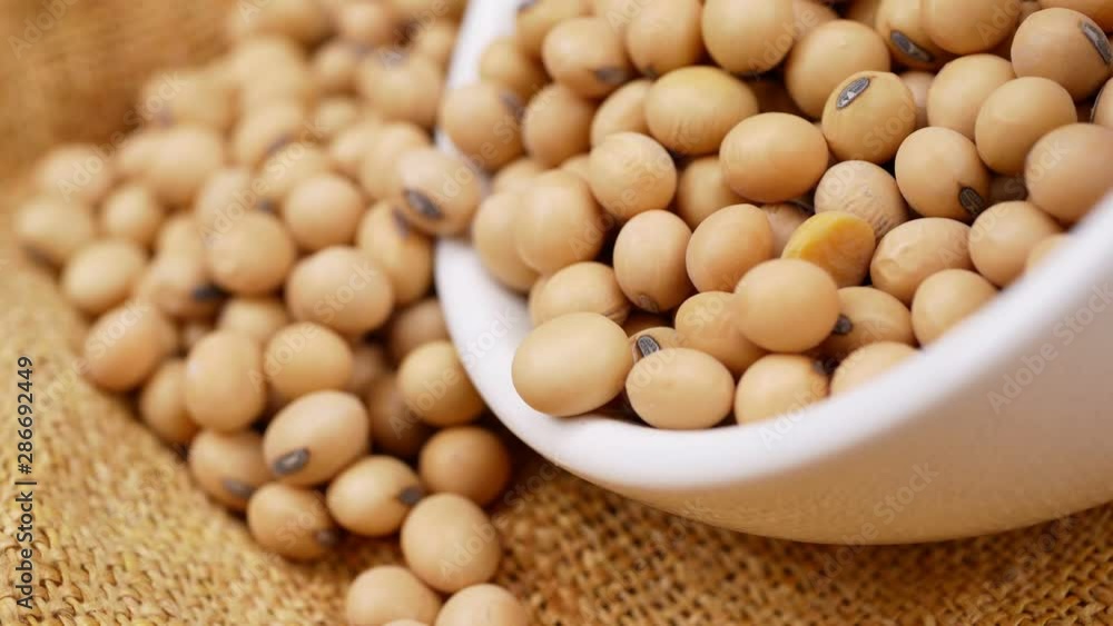 soybean beans close up,seeds food raw material,delicious dishes seed bean agricultural product soybean beans close up,seeds food raw material,delicious dishes seed bean agricultural product