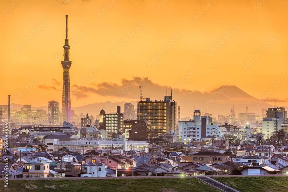 Tokyo, Japan Cityscape