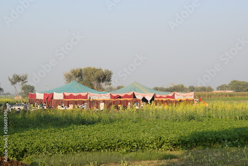 Pakistani Rural Wedding Tent