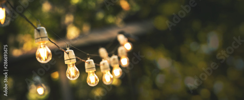 outdoor party string lights hanging in backyard on green bokeh background with copy space photo