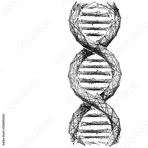 DNA link. Science Technological concept. Polygonal abstract health illustration. Low poly black vector illustration on white background. Vector image in RGB Color mode.
