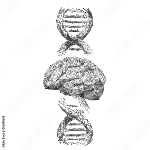 Brain and DNA spiral low poly wireframe illustration. Polygonal neurons cells connections mesh art on white background.. 3D double helix molecule with connected dots. Genetic analysis