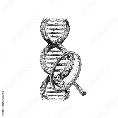 Genetic laboratory research low poly wireframe illustration. 3D DNA double helix molecule and magnifying glass with connected dots. Polygonal chromosome analyzing mesh art. Microbiological analysis