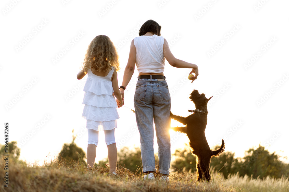 Fototapeta premium Mother with daughter with dog Miniature Schnauzer plays at sunset