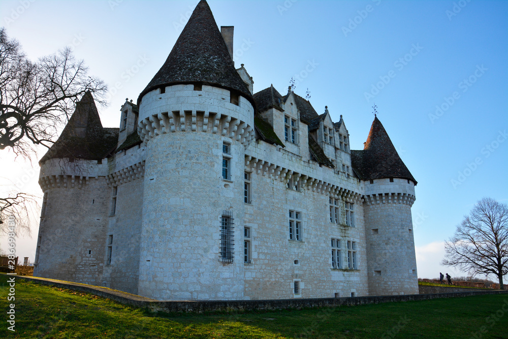 old castle in France