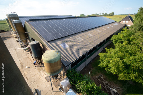 Modern farm with solar panels on the roof of a cowshed