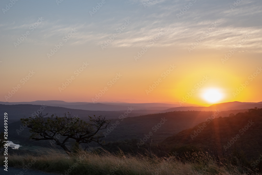 Sunset over the African bush, South Africa.
