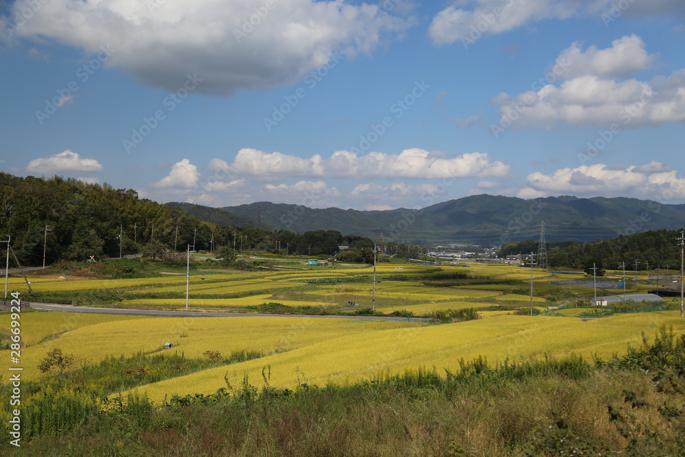 田舎　原風景