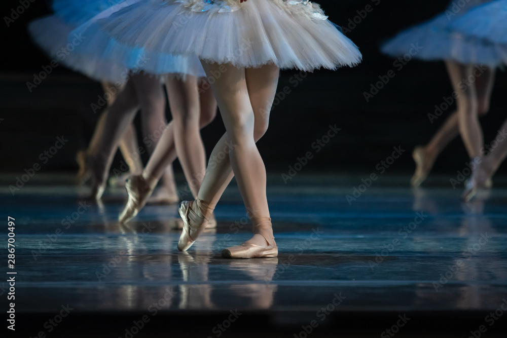 Swan Lake ballet. Closeup of ballerinas dancing - obrazy, fototapety, plakaty 