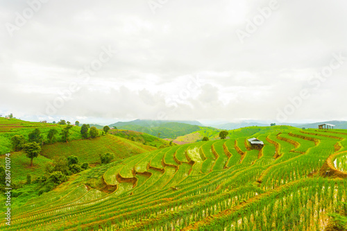 Rice terrace at Pa-pong-peang , Mae Chaem, Chaing Mai ,North Thailand..