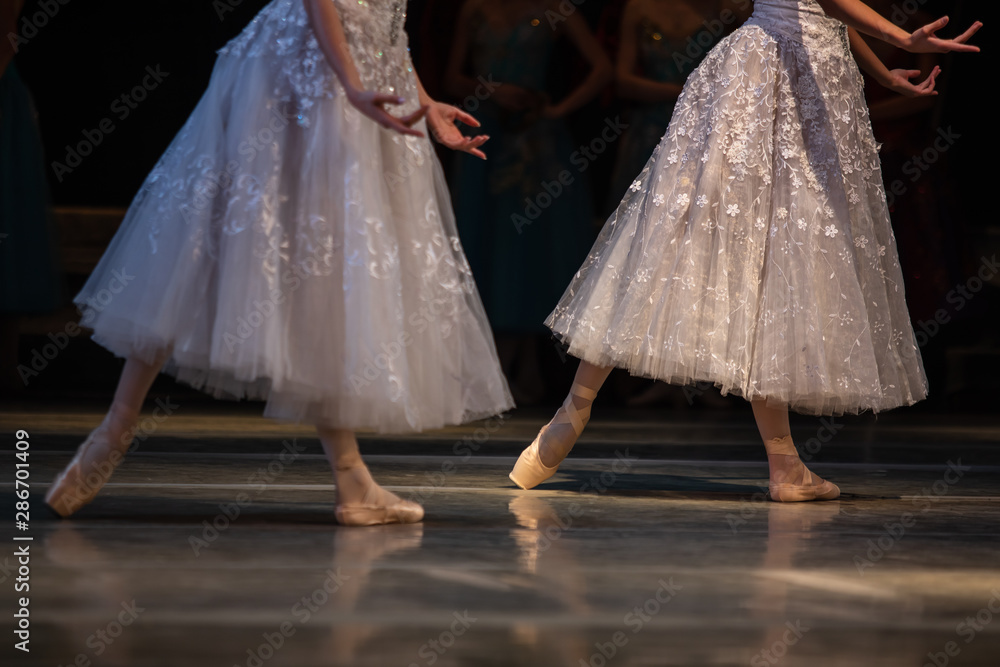 Obraz premium Swan Lake ballet. Closeup of ballerinas dancing