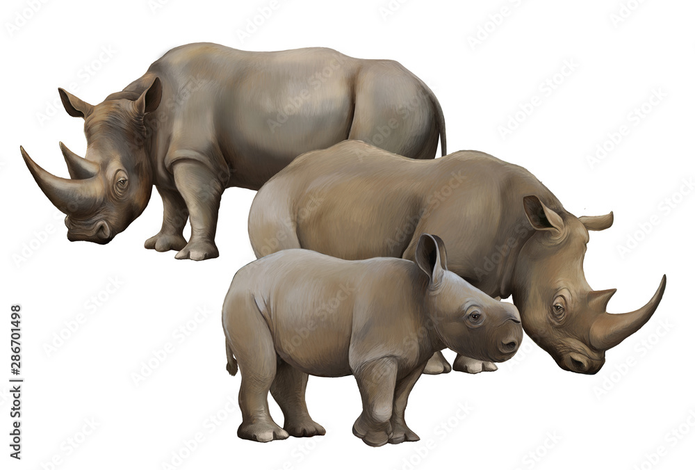 Obraz premium cartoon scene with rhinoceros safari animal illustration for children