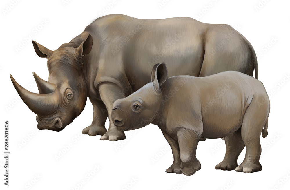 Fototapeta premium cartoon scene with rhinoceros safari animal illustration for children