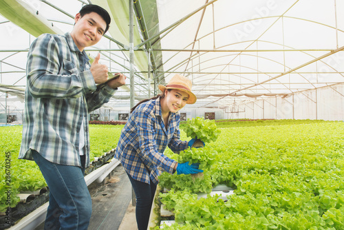 Couple asian farmer owner using touchpad green oak hydroponic vegetable. Owner hydroponic organic farm using touch pad for check green vegetable quality in the field. small future agriculture concept